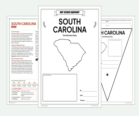 South Carolina report kit map