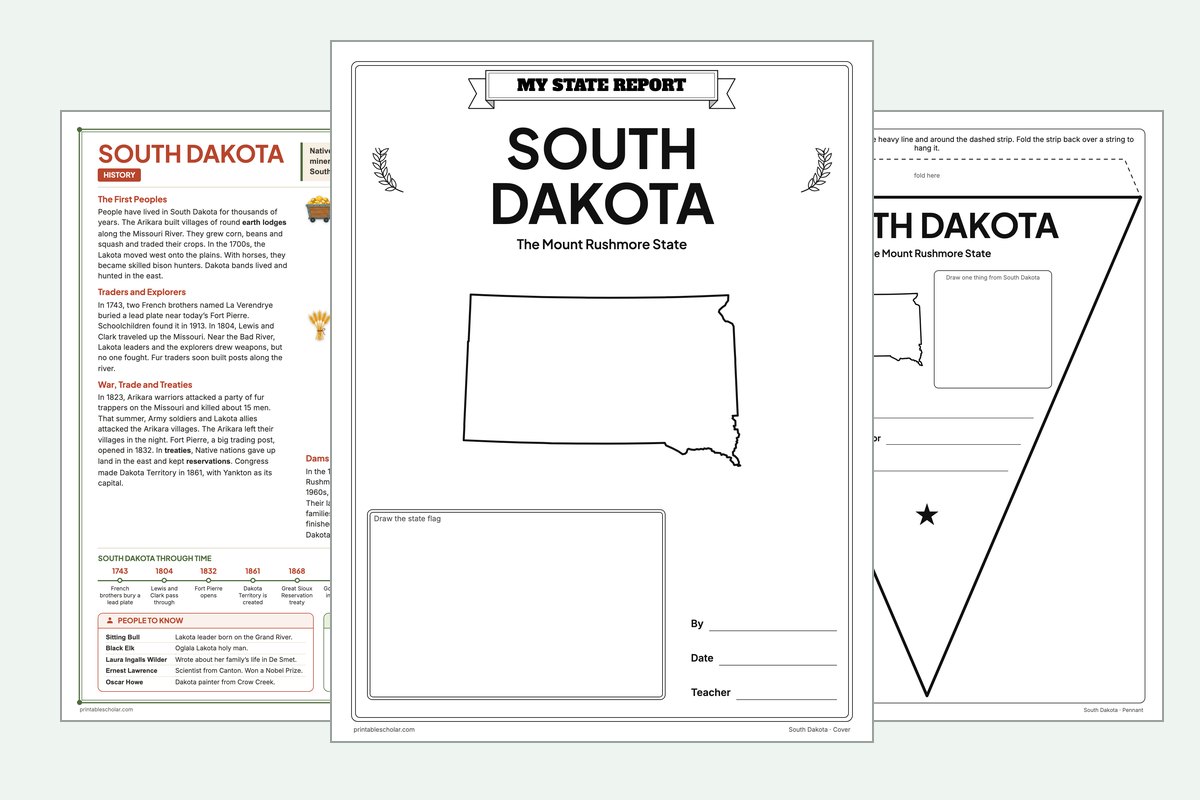 South Dakota State Report Kit: the report booklet cover, the history reading page and the pennant