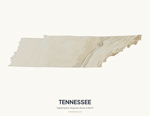 Tennessee relief wall art on a light background