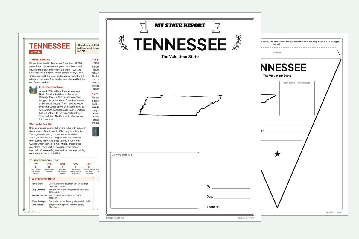 Tennessee State Report Kit: the report booklet cover, the history reading page and the pennant