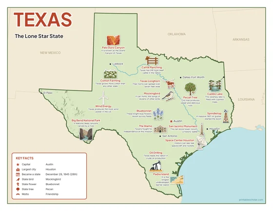 Illustrated map of Texas in color