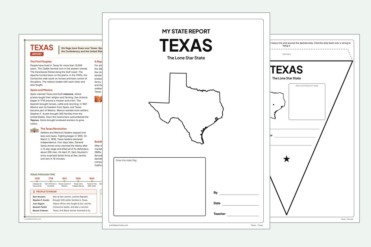 Texas State Report Kit: the report booklet cover, the history reading page and the pennant