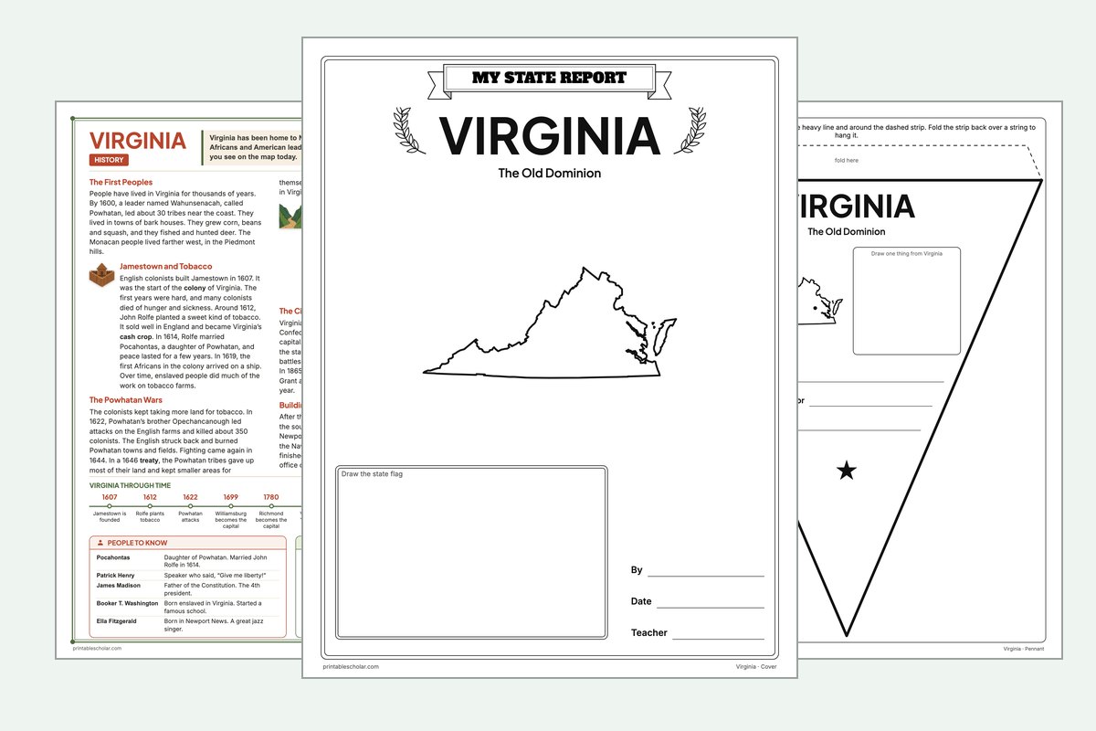 Virginia State Report Kit: the report booklet cover, the history reading page and the pennant