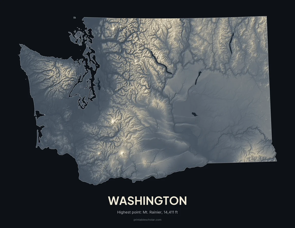 Washington relief wall art, dark