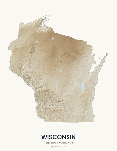Wisconsin relief wall art on a light background