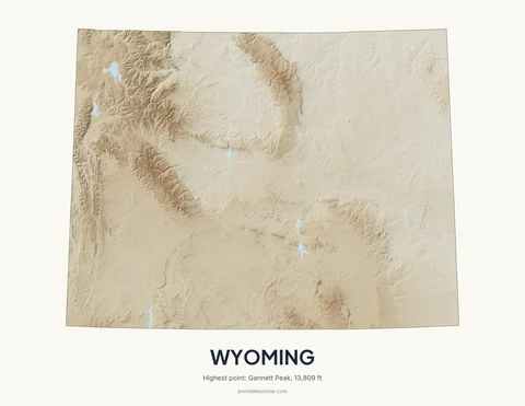 Wyoming relief wall art on a light background
