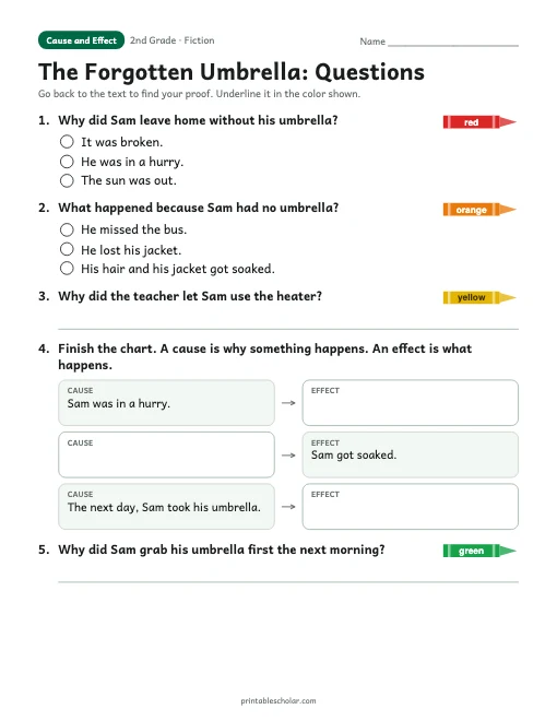 The Forgotten Umbrella comprehension questions
