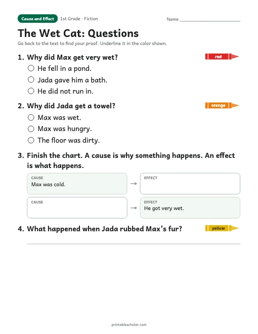 The Wet Cat comprehension questions