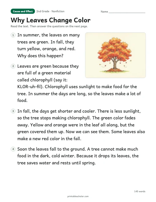 Why Leaves Change Color reading passage