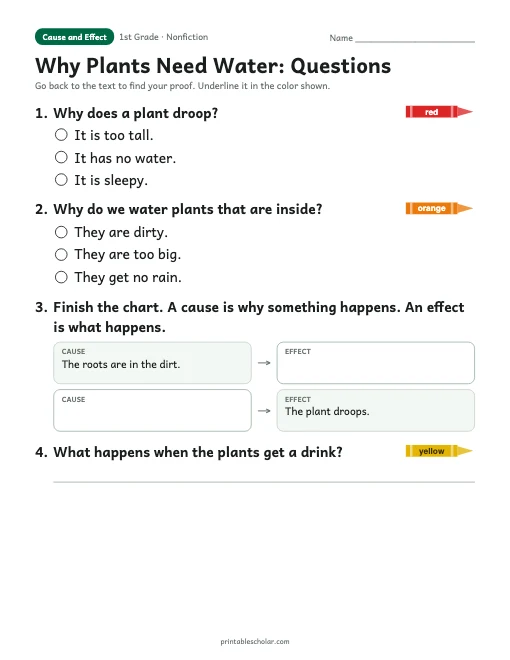 Why Plants Need Water comprehension questions