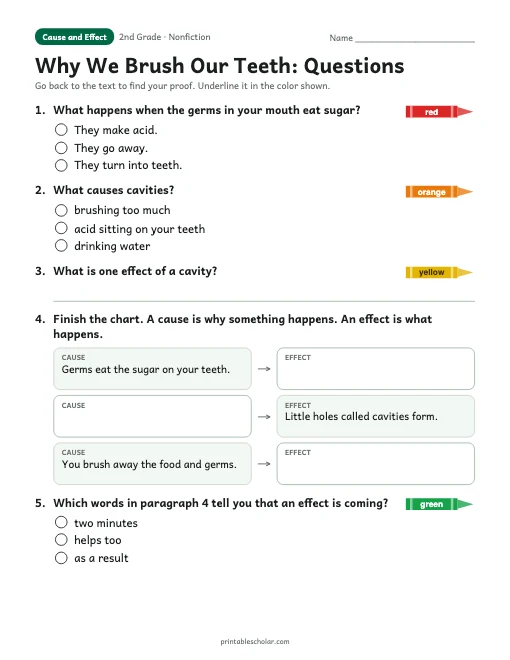 Why We Brush Our Teeth comprehension questions