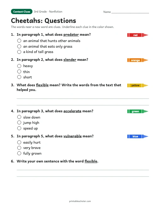 Cheetahs comprehension questions