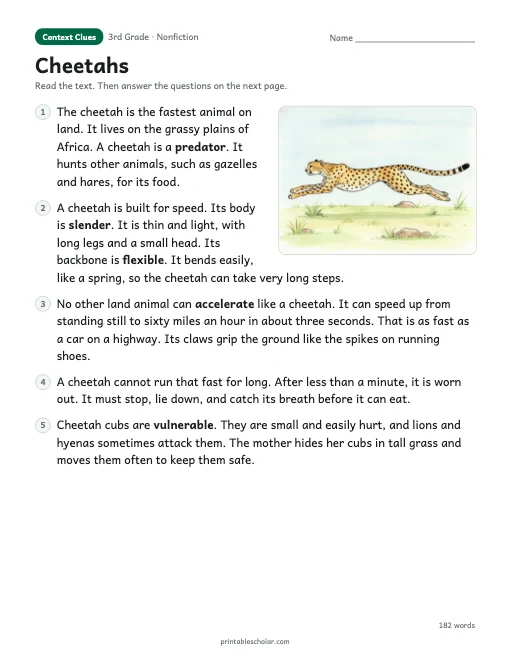Cheetahs reading passage
