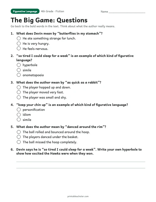The Big Game comprehension questions