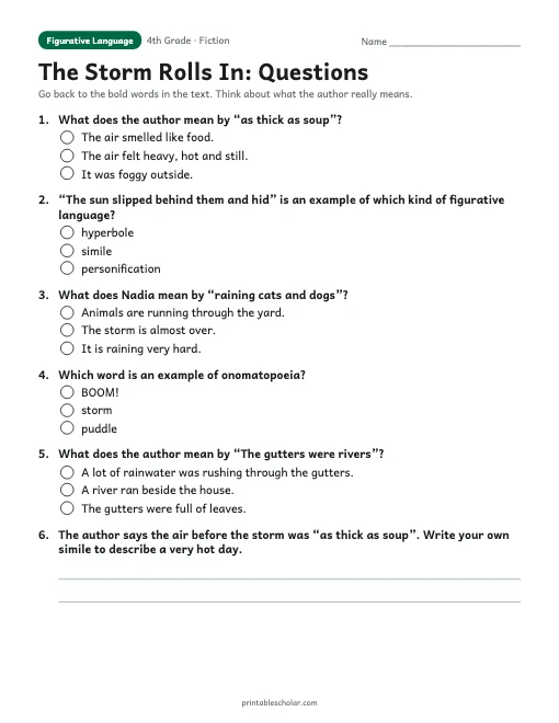 The Storm Rolls In comprehension questions