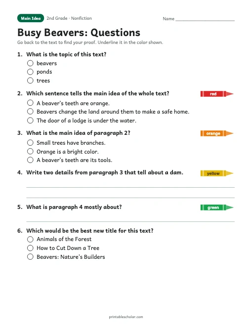 Busy Beavers comprehension questions