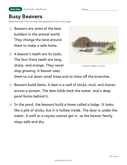 Busy Beavers reading passage