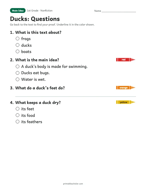 Ducks comprehension questions