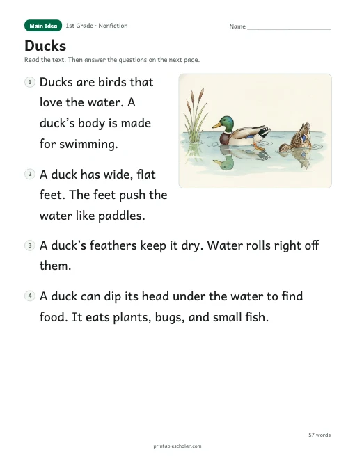 Ducks reading passage