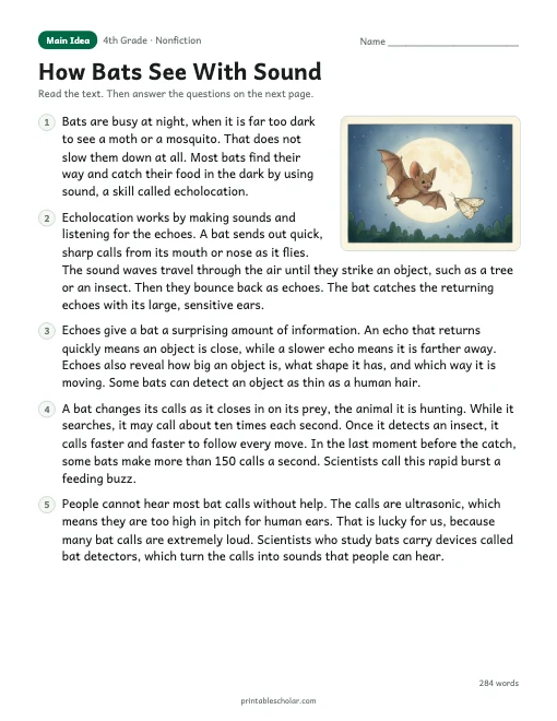 How Bats See With Sound reading passage
