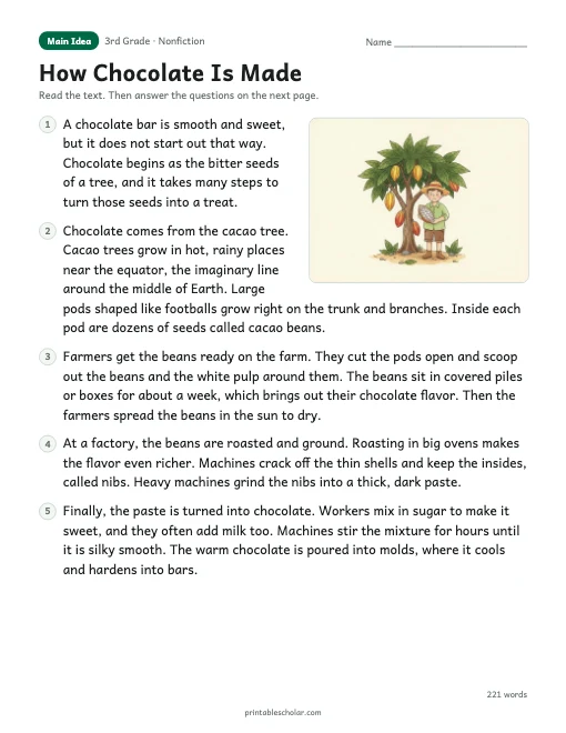 How Chocolate Is Made reading passage