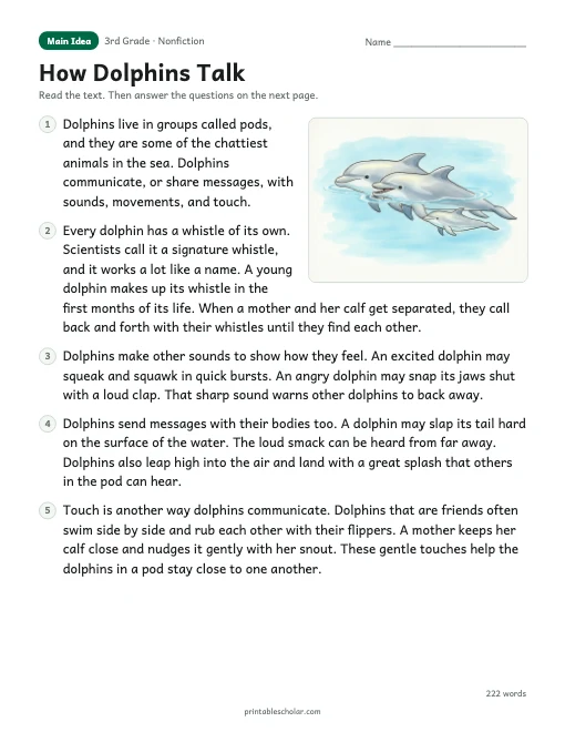 How Dolphins Talk reading passage