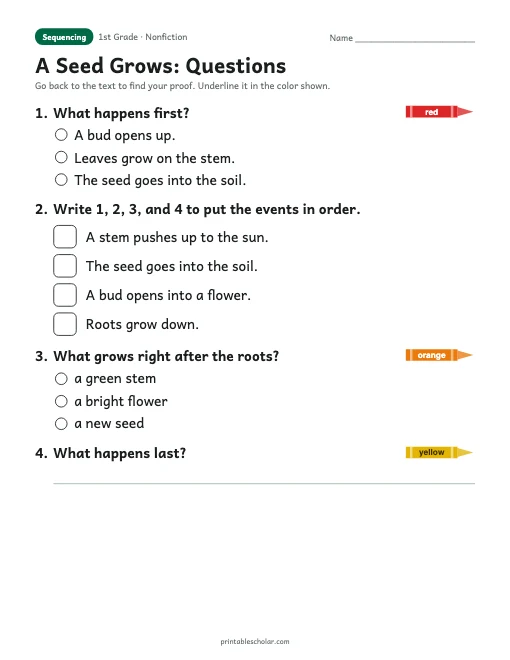 A Seed Grows comprehension questions