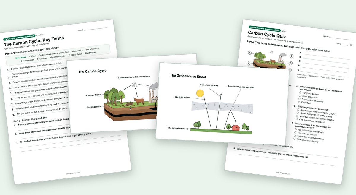 Carbon Cycle and Greenhouse Effect teaching pack: the labeled diagram with a worksheet and the quiz