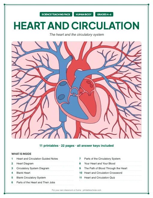 Heart and Circulation teaching pack cover