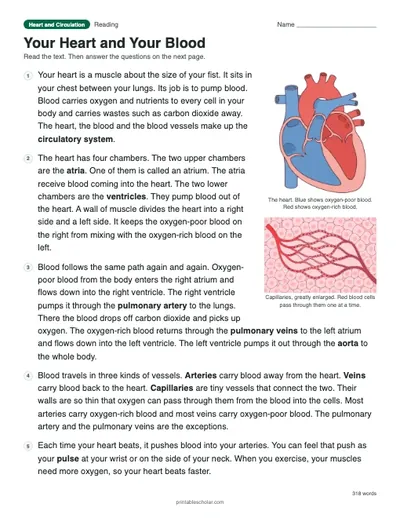 Your Heart and Your Blood: printable reading passage with answer key