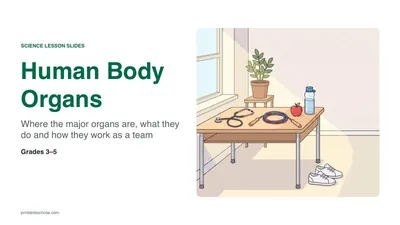 Human Body Organs lesson slides (PowerPoint)