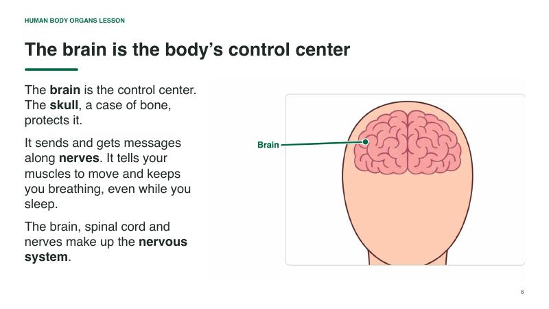Human Body Organs lesson slide