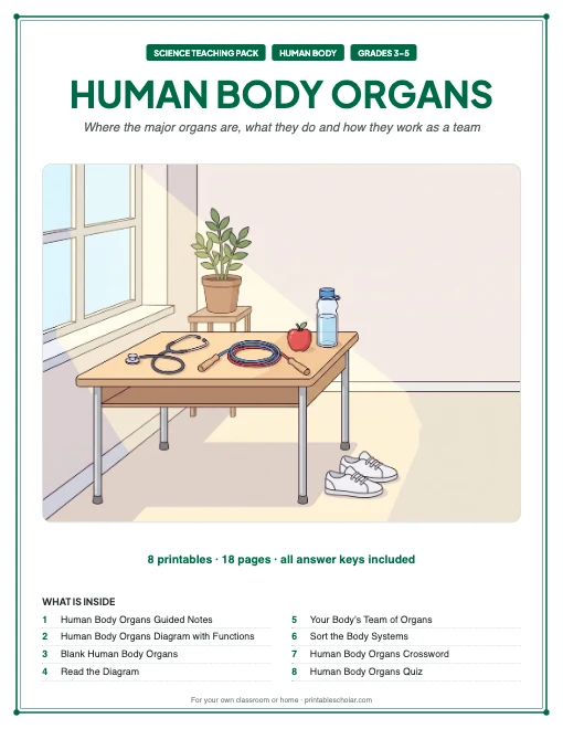 Human Body Organs teaching pack cover