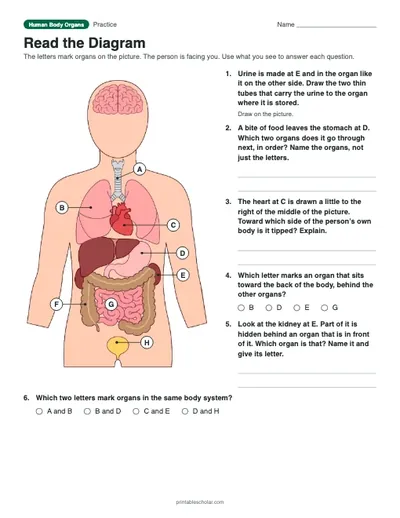 Read the Diagram: printable worksheet with answer key
