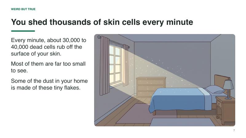 Layers of the Skin lesson slide