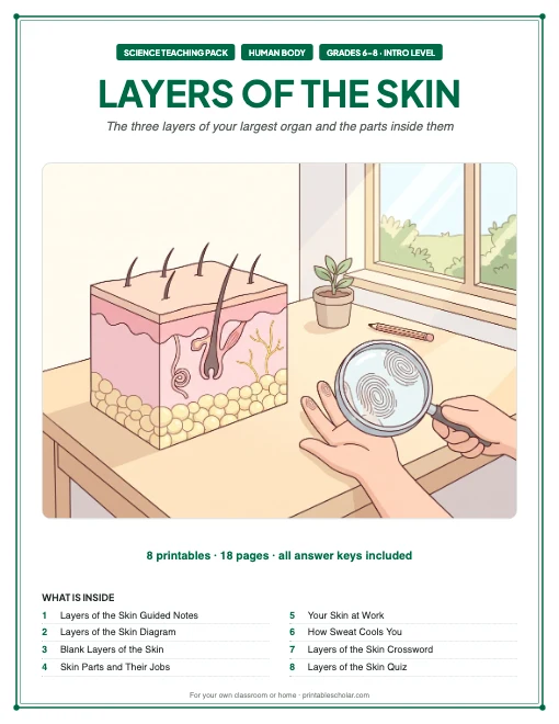 Layers of the Skin teaching pack cover