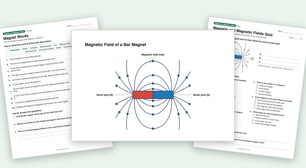 Magnets and Magnetic Fields teaching pack: the labeled diagram with a worksheet and the quiz