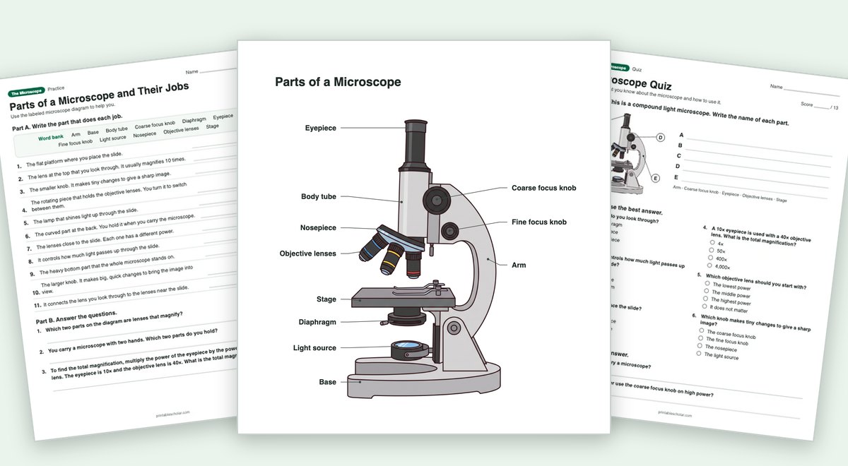 The Microscope teaching pack: the labeled diagram with a worksheet and the quiz