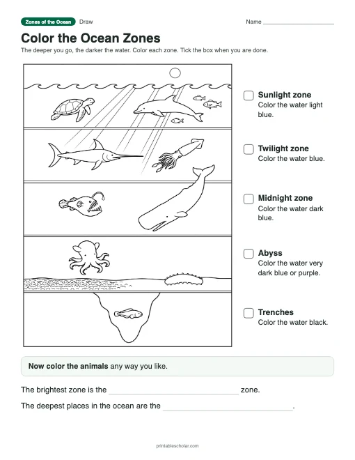Color the Ocean Zones: free printable coloring sheet with answer key