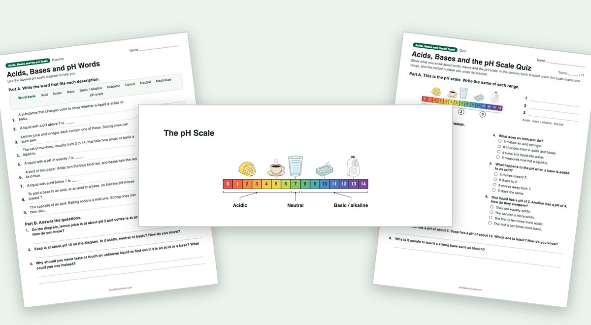 Acids, Bases and the pH Scale teaching pack: the labeled diagram with a worksheet and the quiz