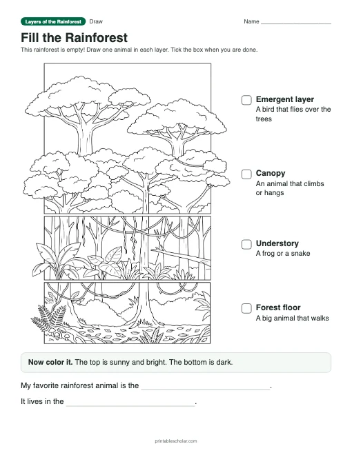 Fill the Rainforest: free printable drawing sheet with answer key