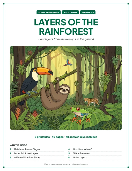 Layers of the Rainforest printables cover