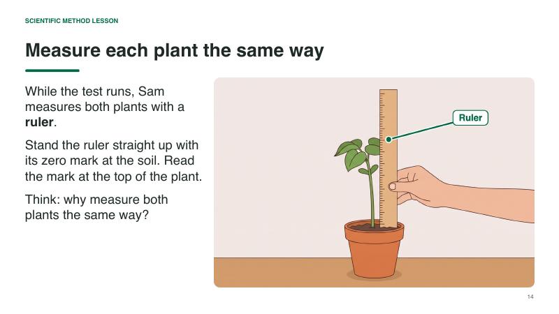 Scientific Method lesson slide