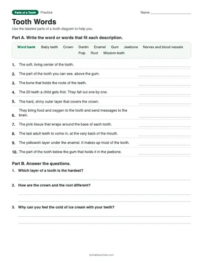 Tooth Words: printable worksheet with answer key