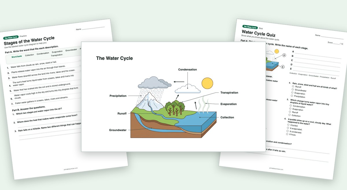The Water Cycle teaching pack: the labeled diagram with a worksheet and the quiz