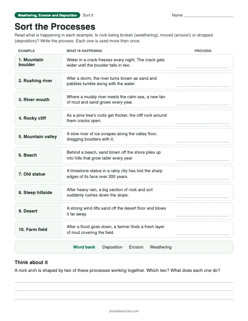 Sort the Processes: printable sorting table with answer key