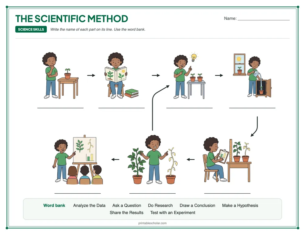Blank scientific method diagram to label, with a word bank