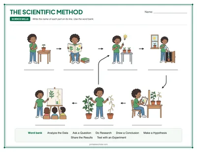 Blank Scientific Method Diagram: free printable