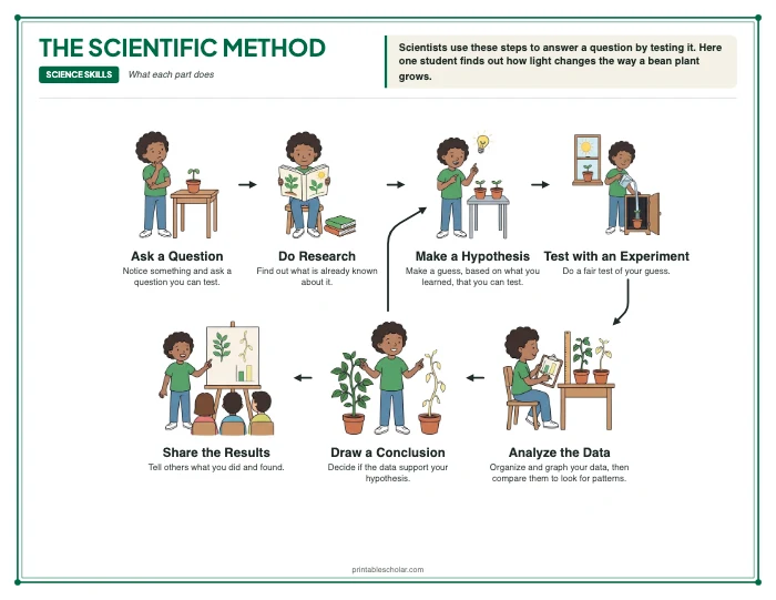 Scientific Method diagram labeled with the function of each part
