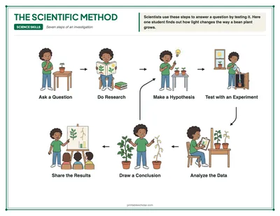 Scientific Method Diagram: free printable
